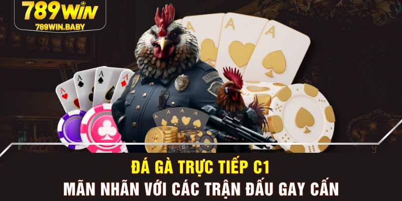 Đá Gà Trực Tiếp C1 - Mãn Nhãn Với Các Trận Đấu Gay Cấn
